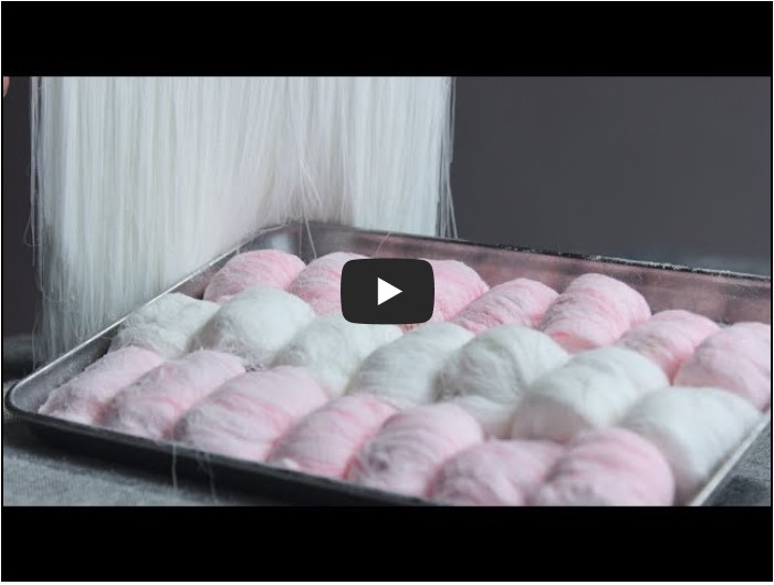 베이킹 디저트 유튜버 순위 TOP 10 3