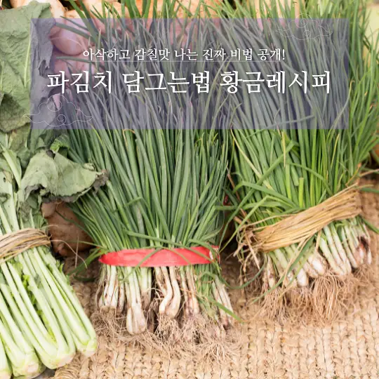 파김치 담그는법