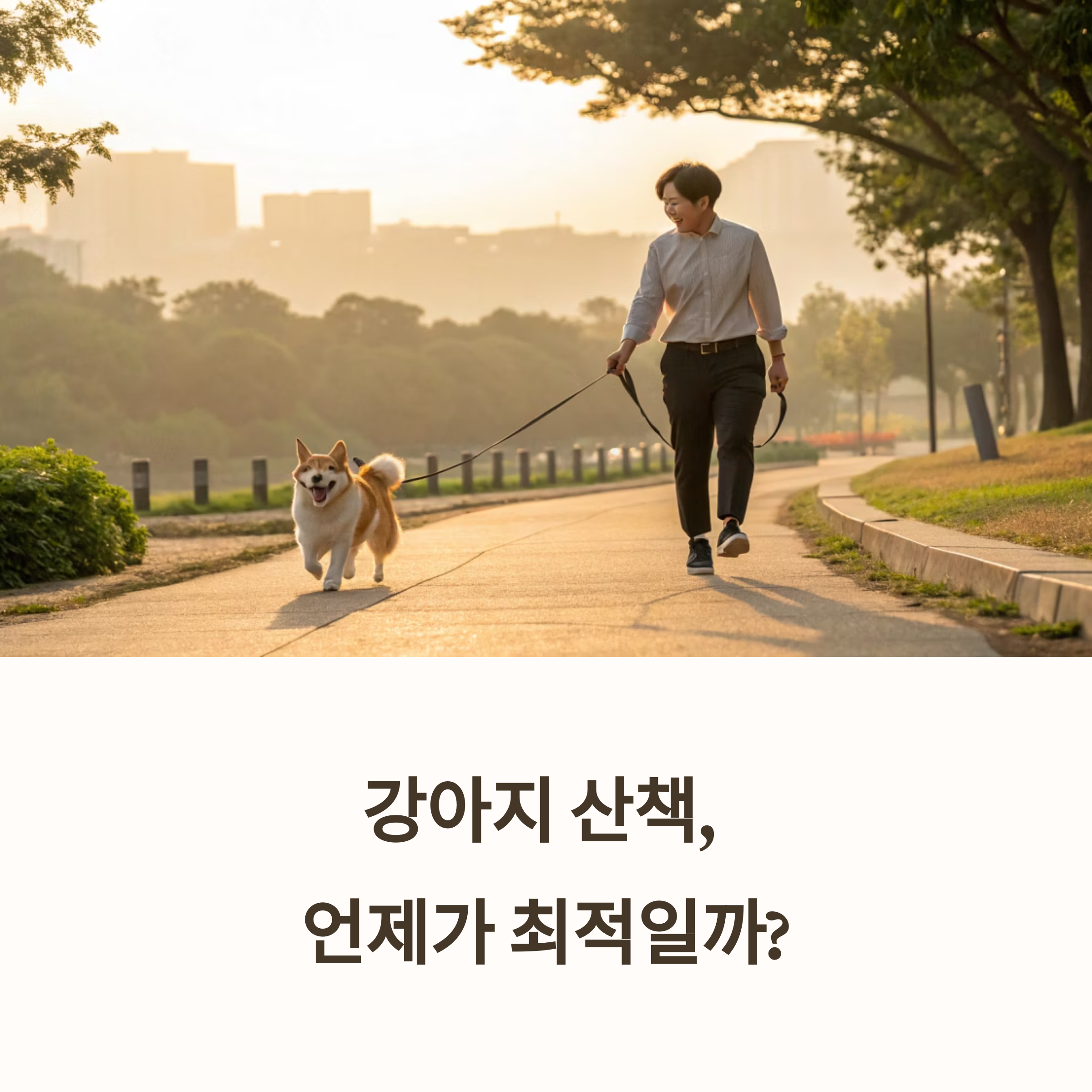 강아지 산책, 언제가 최적일까?