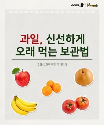 과일 보관 바나나 사과 토마토 숙성 냉장 기준표_11