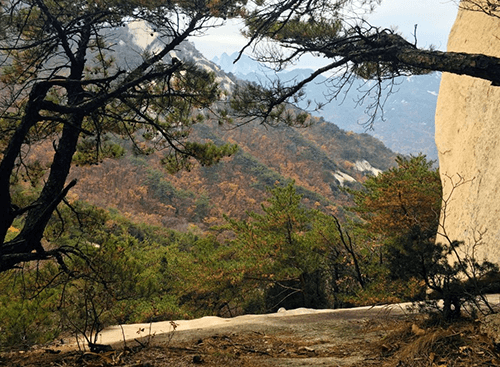 오봉코스8