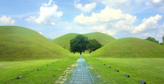 당일차기 경주 여행