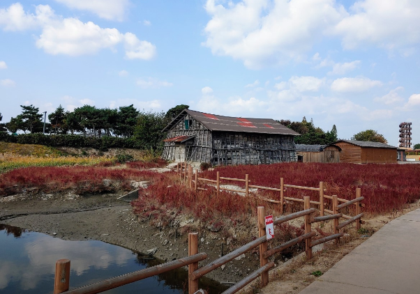 서울근교벚꽃명소