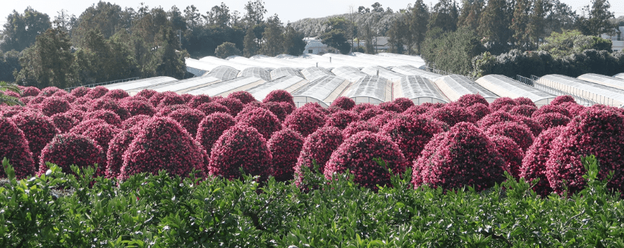 제주도 가볼 만한 곳
