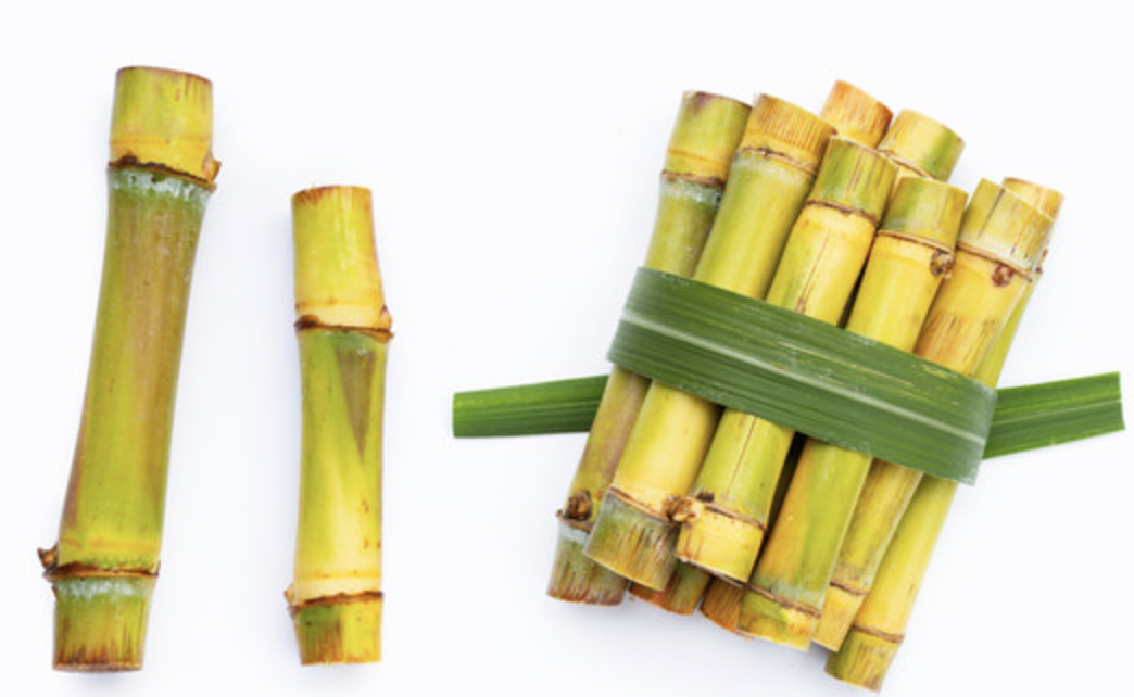 쿠바산-폴리코사놀