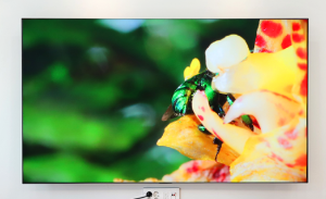 KBS TV 수신료 해지 방법 전화 온라인 해지 불가 조건