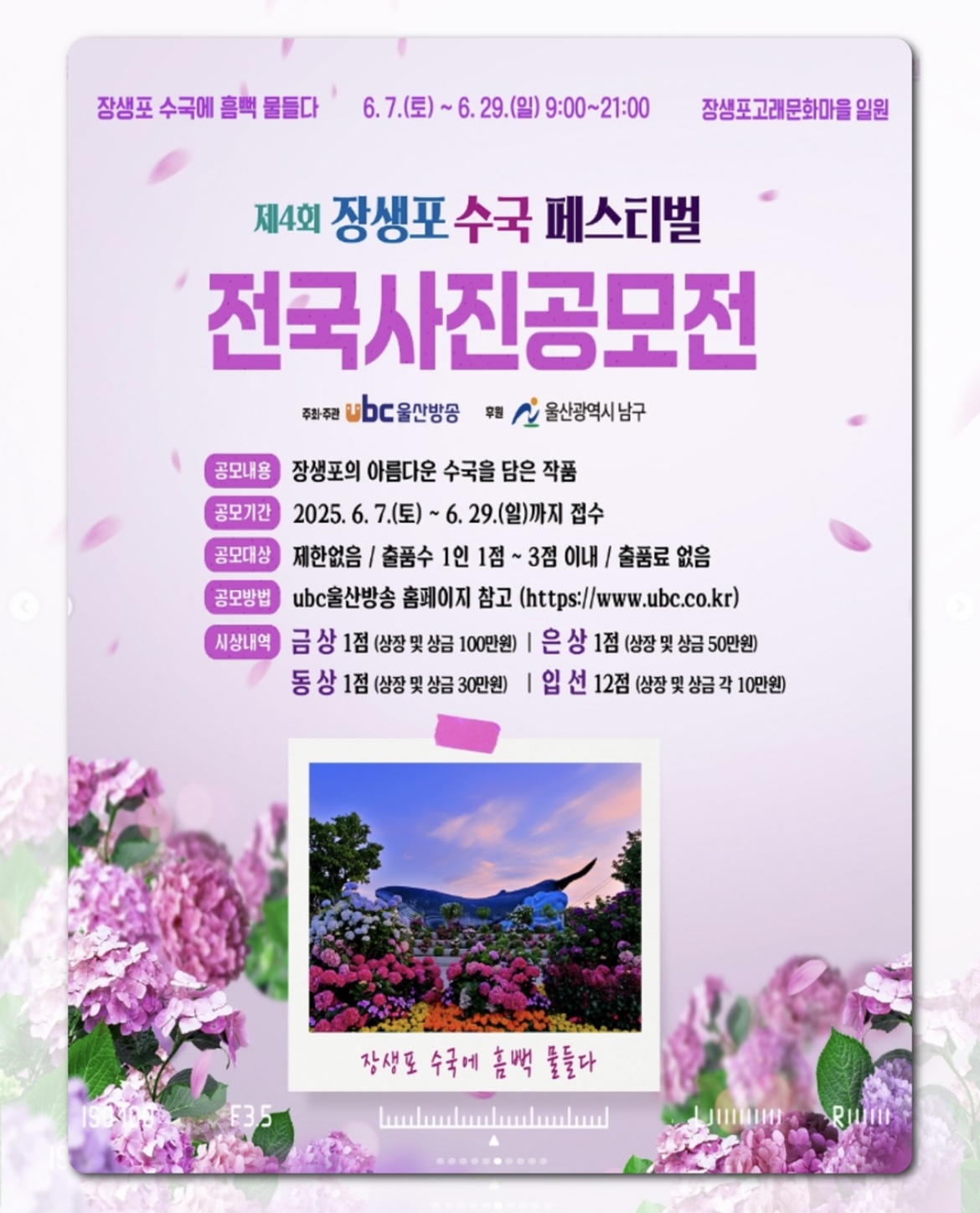 울산 장생포 수국페스티벌 2025 축제일정