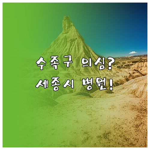 세종시 수족구 병원 추천과 의심 증상..