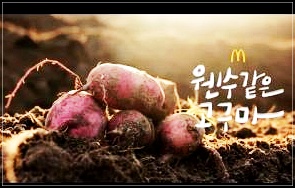 익산 모짜렐라 버거