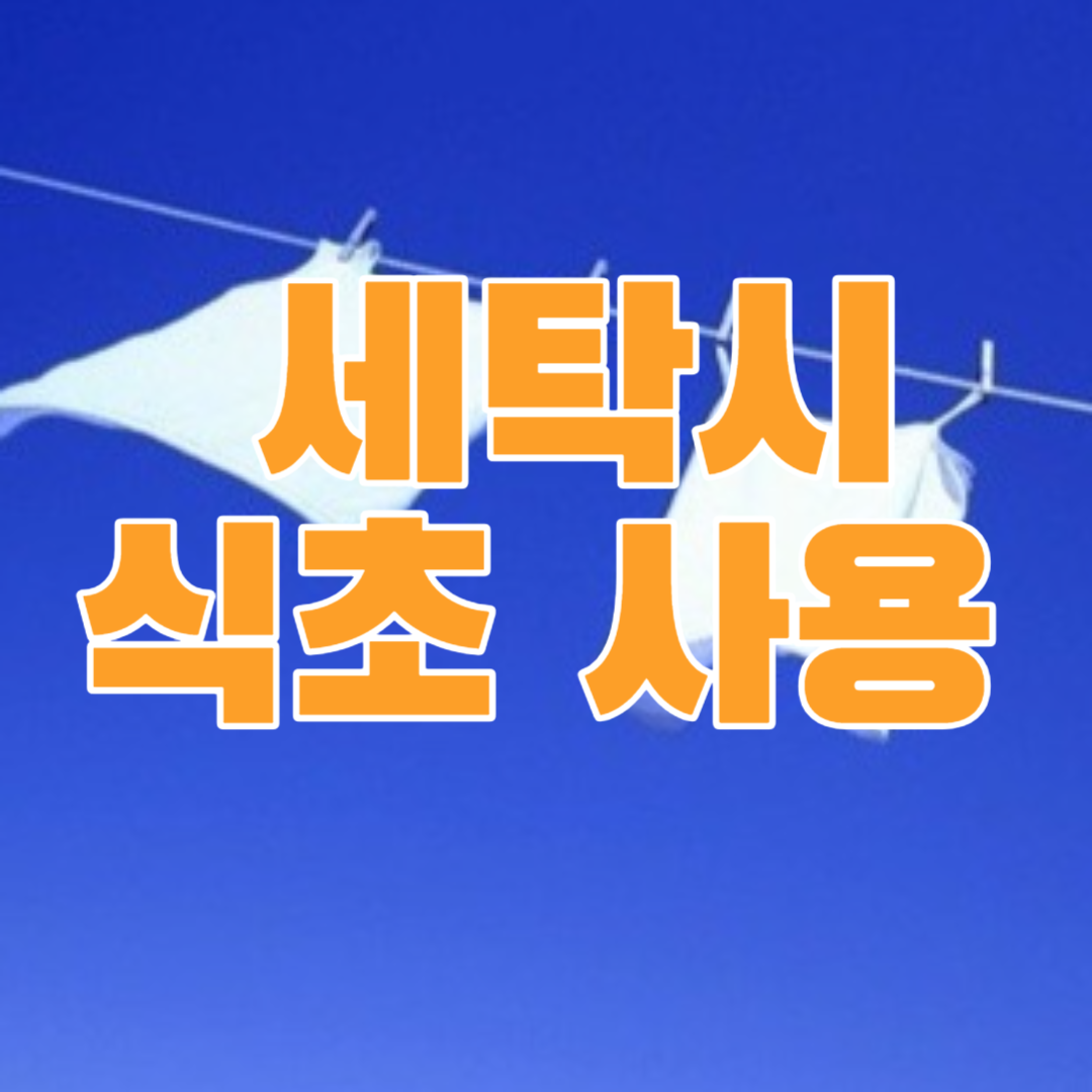 세탁시 식초 사용 효과