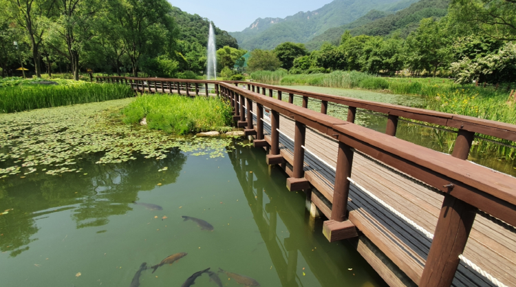 문경 생태미로공원