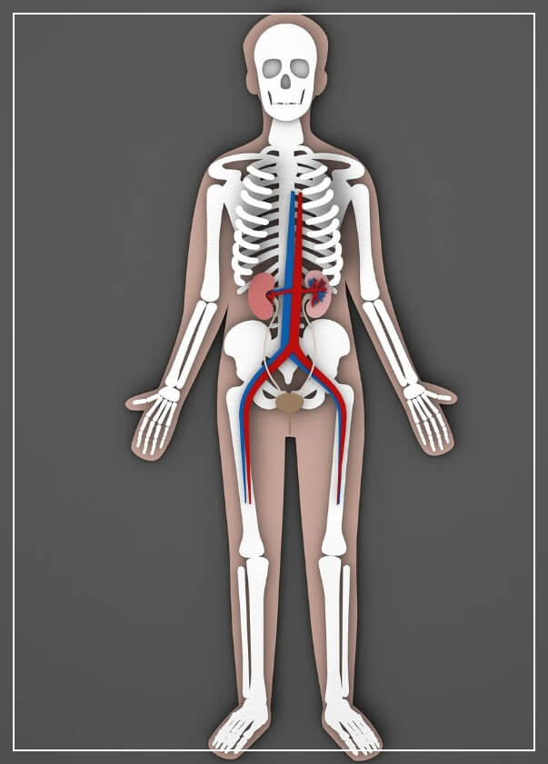 대장내시경 전 먹어도 되는 음식