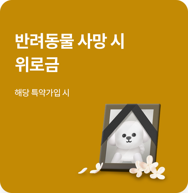 【보험료 1만원】 DB손해보험 X 대한수의사회 &amp;#39;개물림보상보험&amp;#39; 출시! [프로미 반려동물 반려견 애견 보장 내용]