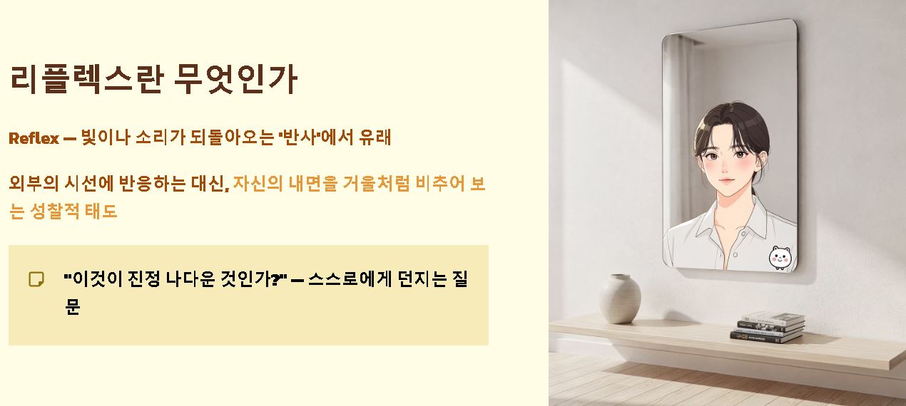 리플렉스 뜻