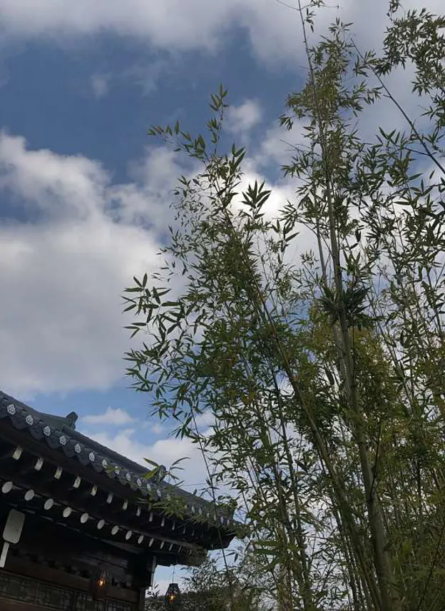 온천집