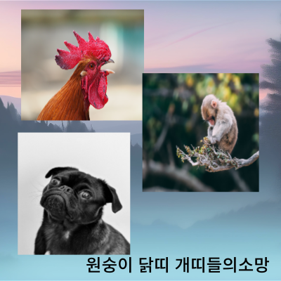 원숭이띠닭띠개띠들이좋아하는선물