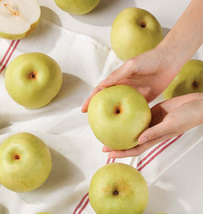 전북 익산의 프리미어 농짱 그린시스 배