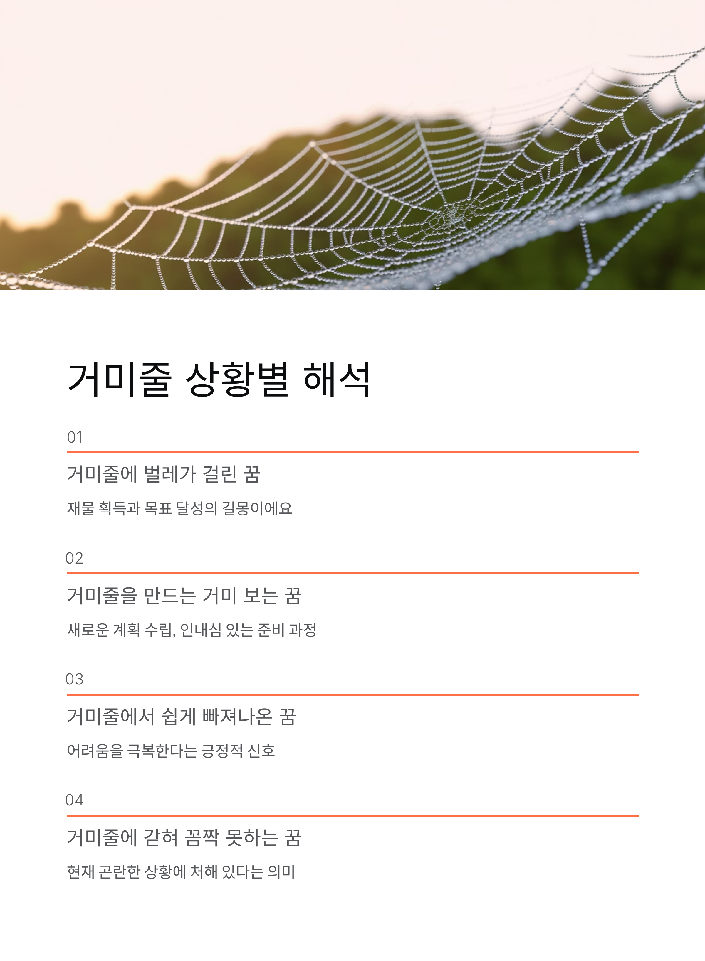 거미꿈 해몽 총정리, 큰거미·거미줄·물리는꿈 완벽 분석!