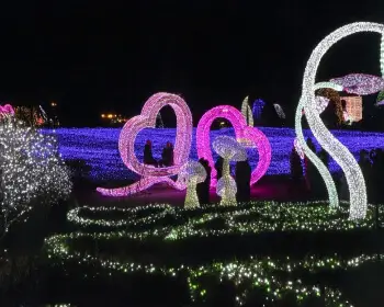 아침고요수목원 오색별빛정원전_22