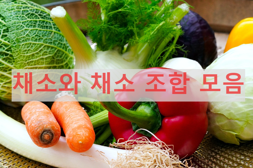 채소와-채소-조합-모음