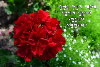 5월 인사말 모음 예시 멘트_22