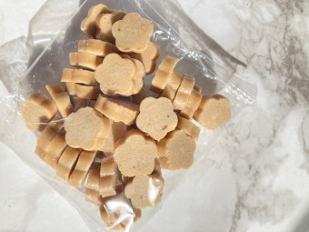 국제 강아지의 날(International Dog Day) 간식 BEST 7 추천!