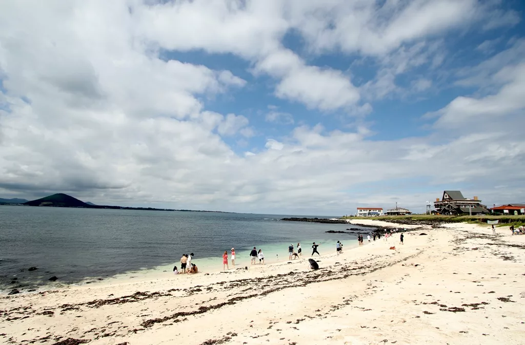 천연기념물로 지정된 서빈백사(홍조단괴 해빈) 해수욕장 전경 사진.