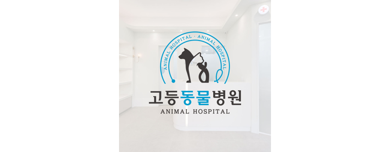 성남 수정구 동물병원