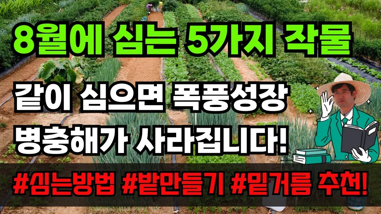 8월에 심는 밭작물 모종 채소 재배법 알아보기_4