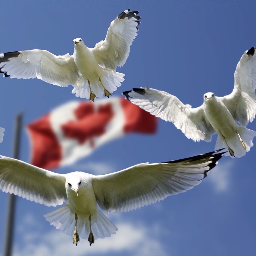 한국전쟁 캐나다