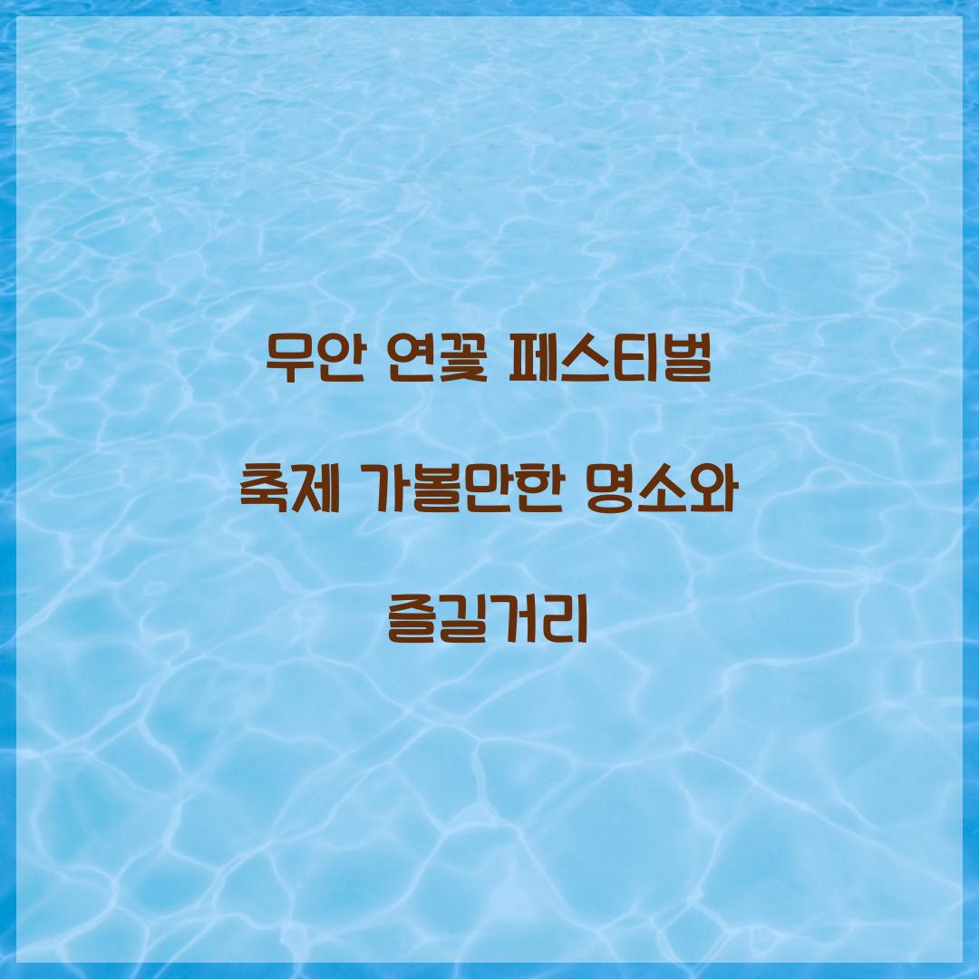 무안 연꽃 페스티벌 축제