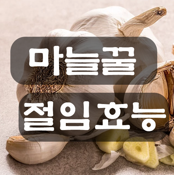 마늘 꿀절임 효능 부작용