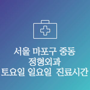 서울 마포구 중동 주말 토요일 일요일 문여는 병원 진료시간