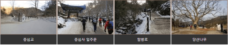 당산나무증심교