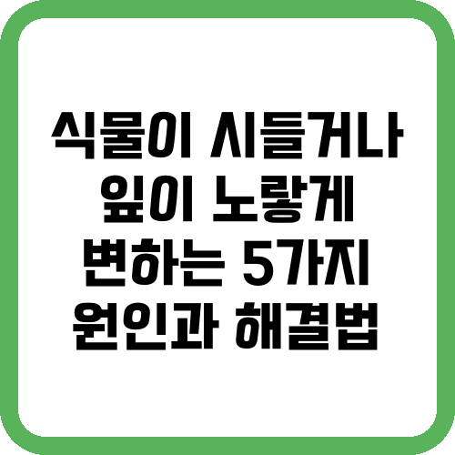 식물이 시들거나 잎이 노랗게 변하는 5가지 원인과 해결법