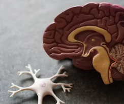 편두통 원인 증상 없애주는 간단한 습관 5가지