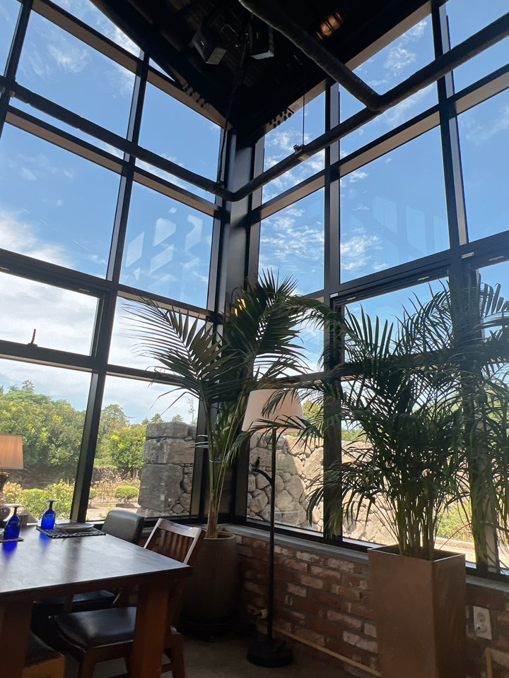 제주도 맛집 여행코스 베이커리 카페 제주 동부 숙소에서 거리까지 제주도 일정 짜기 제주도 10월 날씨 제주도 인생사진 명소 제주 애월 조천 협재 함덕 맛집 제주도 렌터카 제주도 렌트카 제주 렌터카 제주 렌터카