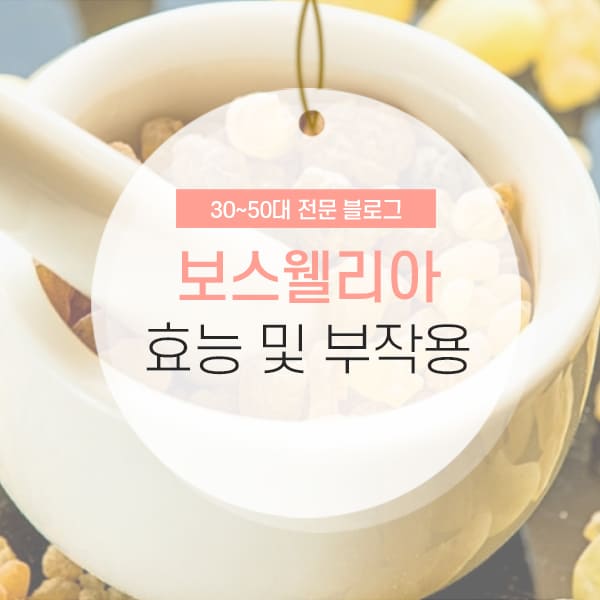 보스웰리아의 모든 것 보스웰리아 성분소개 및 효능, 과복용시 부작용 소개