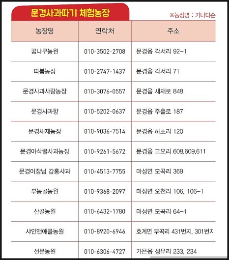 문경 사과 축제 프로그램