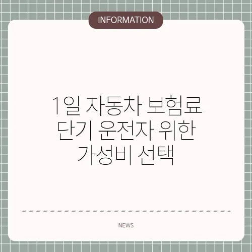 1일 자동차 보험료 단기 운전자 위한 가성비 선택