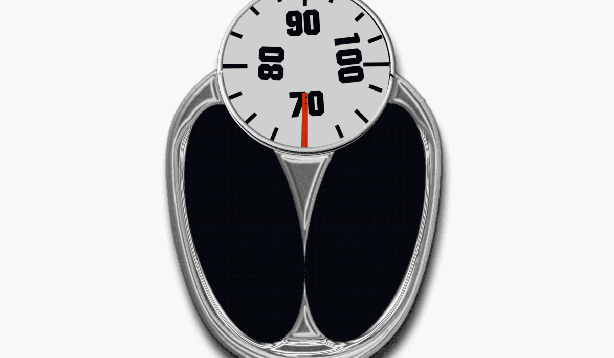 내장지방_빼는_음식_22