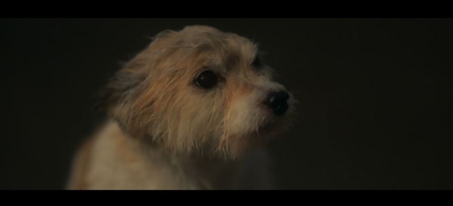 오늘도사랑스럽개_8회