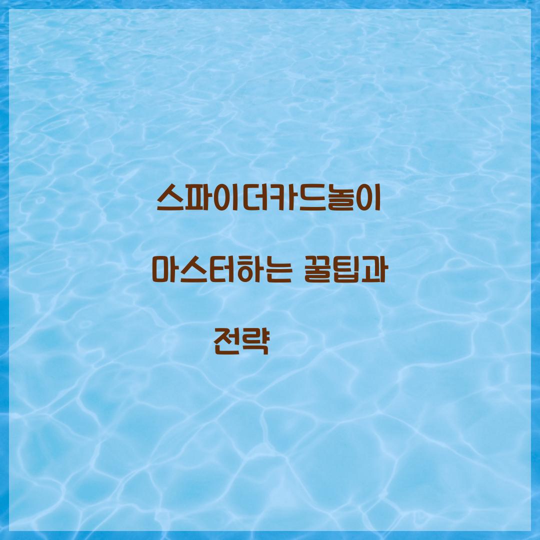 스파이더카드놀이