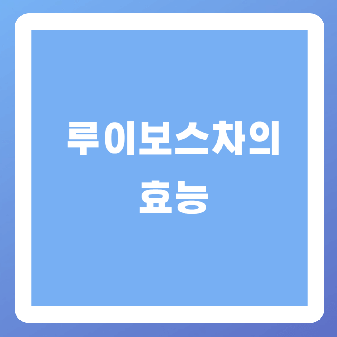 루이보스차의 효능