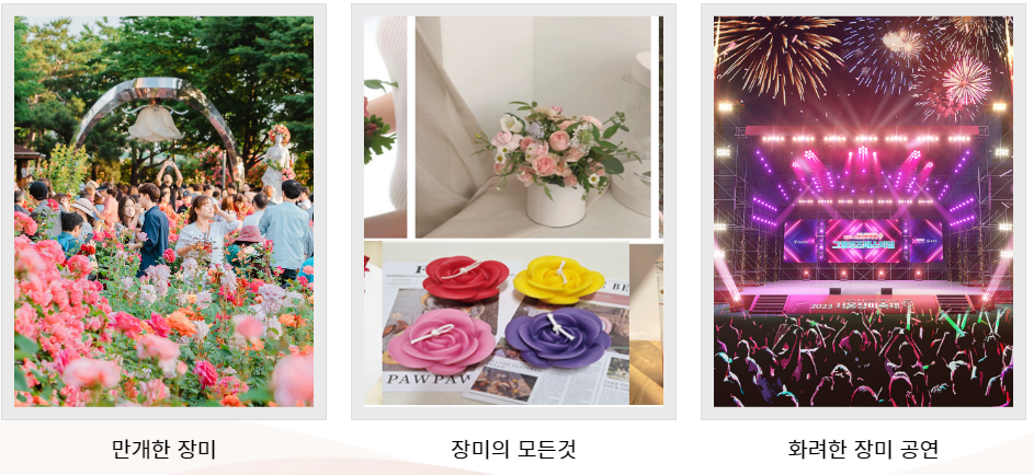 2023.서울 중랑구 장미축제.일정.주차.추천코스.맛집.2023안내.총정리