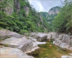 강원도 트레킹, 365일 봄날을 만날 수 있는 5곳의 광활한 경치