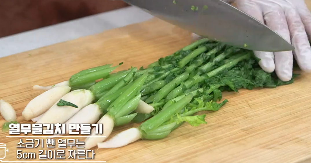 열무물김치담그는법