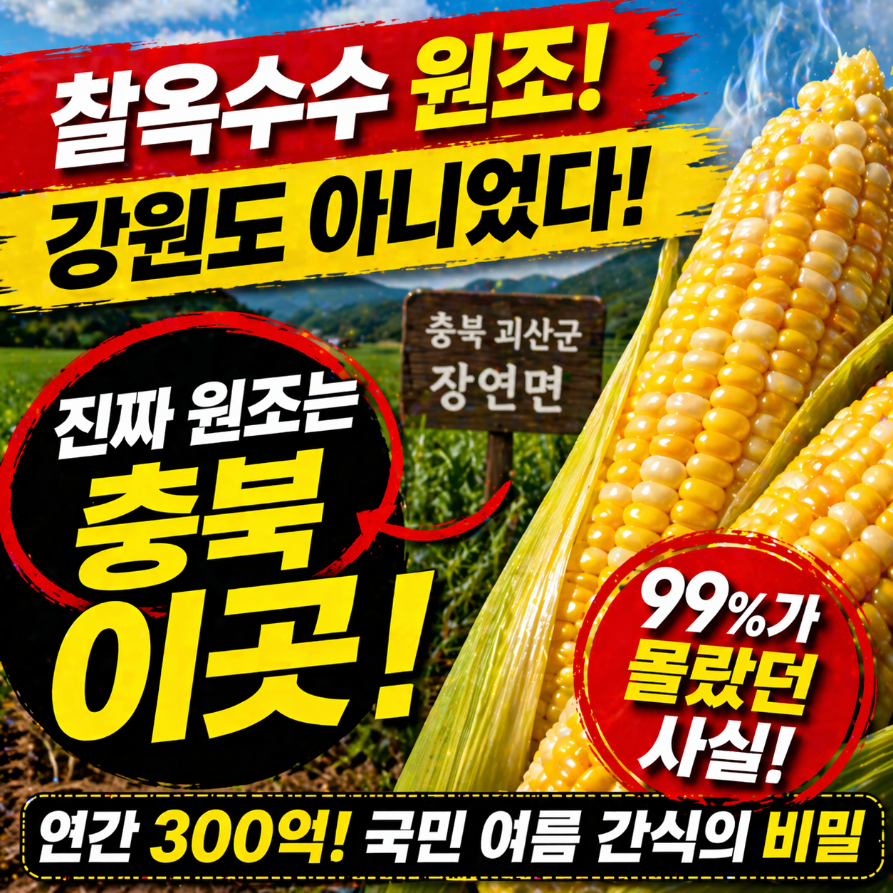 찰옥수수 어디서 오나 했더니… 국민 여름 간식 원조는 바로 이곳?