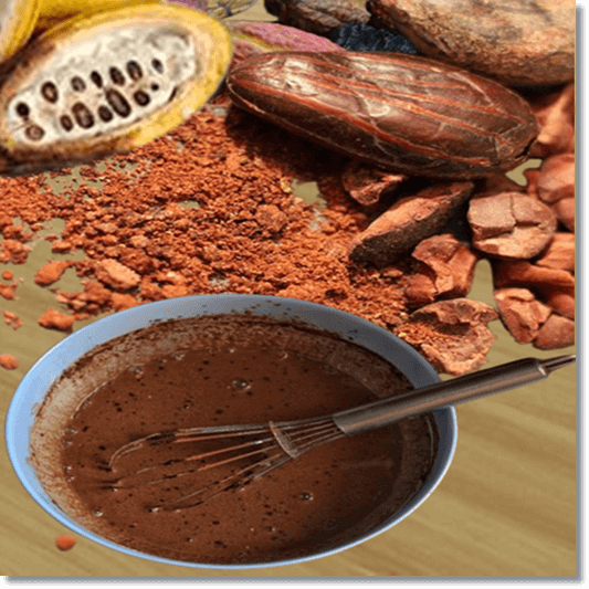 테오브로민이 풍부한 카카오 콩과 음식