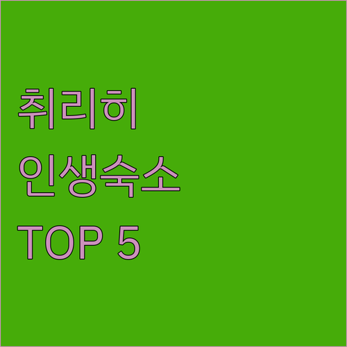 취리히 자유 여행 숙소 추천 5곳 객..